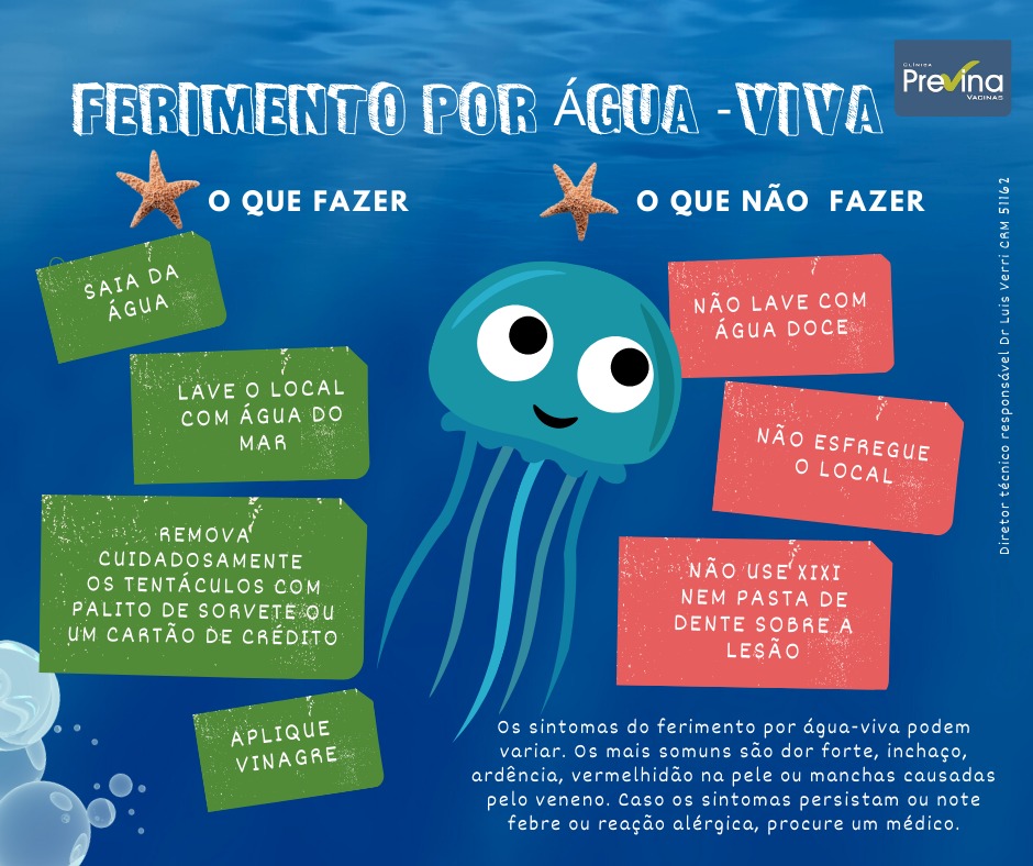 dicas para ferimentos com agua viva em balneario camboriu